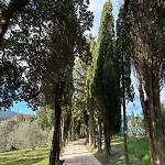Domus Eleiva Relais * Суверето