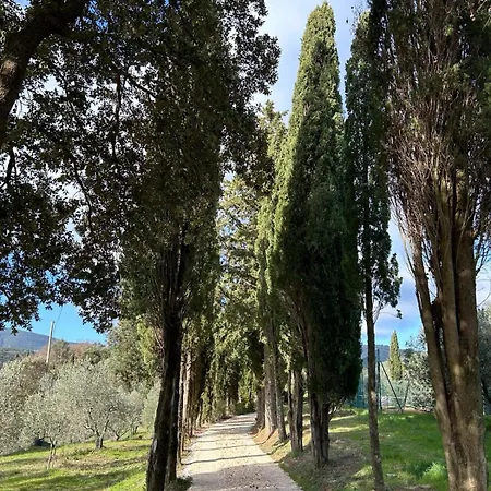Domus Eleiva Relais * Suvereto